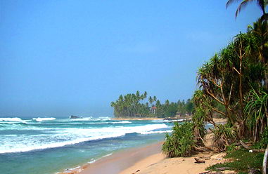 Real estate at beach in in Sri Lanka
