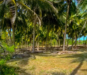 tangalla beach