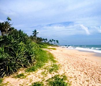 Properties Sri Lanka